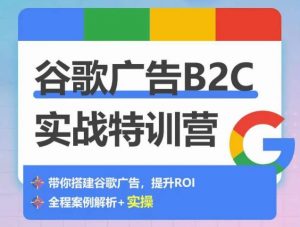 谷歌广告B2C实战特训营，500+谷歌账户总结经验，实战演示如何从0-1搭建广告账户-最全资源库