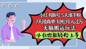 小红书影视泥巴追剧5天涨千粉，7天接商单，轻松月入过万，无脑搬运玩法【揭秘】-最全资源库