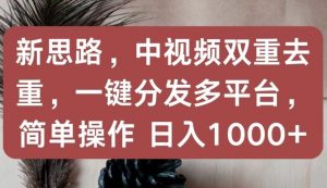 新思路，中视频双重去重，一键分发多平台，简单操作，日入1000+【揭秘】-最全资源库