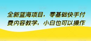 全新蓝海项目,零基础快手付费内容教学,小白也可以操作【揭秘】-最全资源库