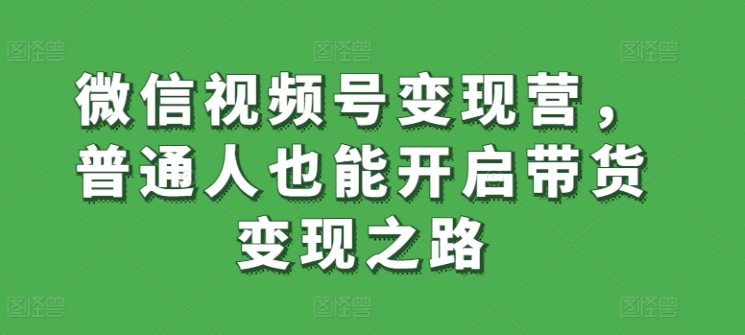 微信视频号变现营，普通人也能开启带货变现之路-最全资源库
