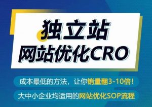 独立站网站优化CRO,成本最低的方法,让你销量翻3-10倍-最全资源库