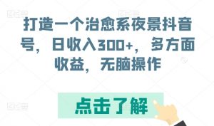 打造一个治愈系夜景抖音号，日收入300+，多方面收益，无脑操作【揭秘】-最全资源库