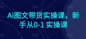 Ai图文带货实操课，新手从0-1 实操课-最全资源库
