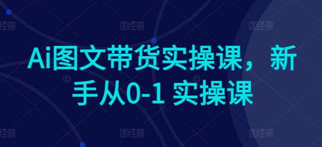 Ai图文带货实操课，新手从0-1 实操课-最全资源库