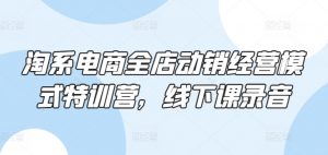 淘系电商全店动销经营模式特训营，线下课录音-最全资源库