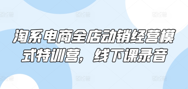 淘系电商全店动销经营模式特训营，线下课录音-最全资源库