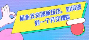 闲鱼无货源新玩法,如何做到一个月变现5W【揭秘】-最全资源库