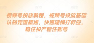视频号投放教程,视频号投放基础认知完善疏通,快速建模打标签,稳住投产稳住账号-最全资源库