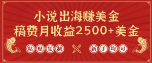 小说出海赚美金，稿费月收益2500+美金，仅需chatgpt粘贴复制，新手也能玩转【揭秘】-最全资源库