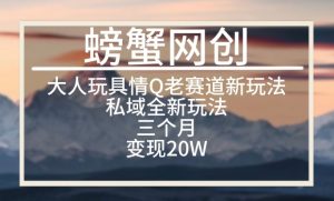 大人玩具情Q用品赛道私域全新玩法，三个月变现20W，老项目新思路【揭秘】-最全资源库