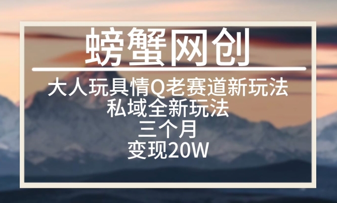 大人玩具情Q用品赛道私域全新玩法，三个月变现20W，老项目新思路【揭秘】-最全资源库