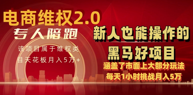 电商维权 4.0 如何做到月入 5 万+每天 1 小时新人也能快速上手【仅揭秘】-最全资源库