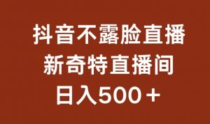 不露脸挂机直播，新奇特直播间，日入500+【揭秘】-最全资源库