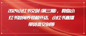 2024小红书文创(第三期)，教你小红书如何养号和开店，小红书直播带货卖文创等-最全资源库