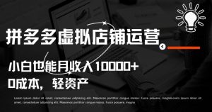 拼多多虚拟店铺运营小白也能月收入10000+【揭秘】-最全资源库