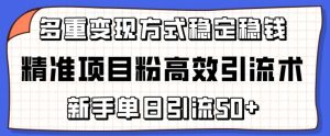 精准项目粉高效引流术,新手单日引流50+,多重变现方式稳定赚钱【揭秘】-最全资源库