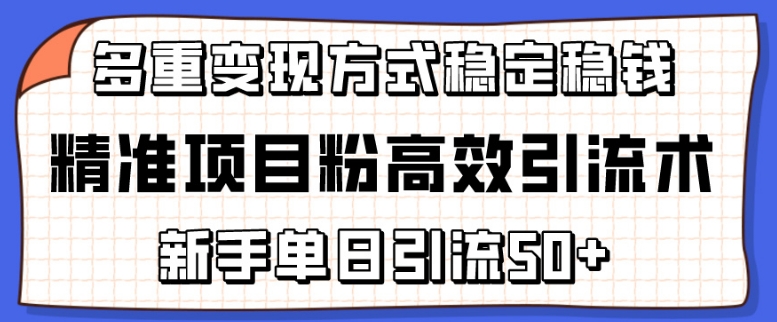 精准项目粉高效引流术,新手单日引流50+,多重变现方式稳定赚钱【揭秘】-最全资源库