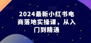 2024最新小红书电商落地实操课,从入门到精通-最全资源库