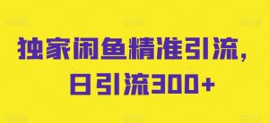 独家闲鱼精准引流，日引流300+【揭秘】-最全资源库