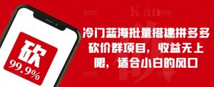 冷门蓝海批量搭建拼多多砍价群项目，收益无上限，适合小白的风口【揭秘】-最全资源库