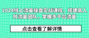 2024线上流量操盘实战课程,搭建高人效流量团队,掌握多平台流量-最全资源库