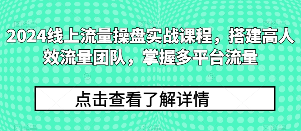 2024线上流量操盘实战课程,搭建高人效流量团队,掌握多平台流量-最全资源库
