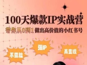 小红书100天爆款IP实战营，带你从0到1做出高价值的小红书号-最全资源库