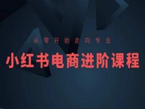 从零开始走向专业,小红书电商进阶课程-最全资源库