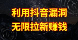 利用抖音链接漏洞，无限拉新赚钱【漏洞原理+操作流程】【揭秘】-最全资源库