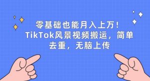 零基础也能月入上w，TikTok风景视频搬运，简单去重，无脑上传【揭秘】-最全资源库