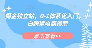 掘金独立站,0-1体系化入门,小白跨境电商指南-最全资源库
