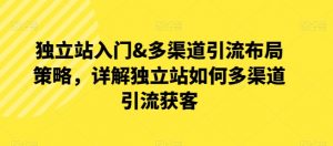 独立站入门&多渠道引流布局策略，详解独立站如何多渠道引流获客-最全资源库