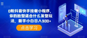 0粉抖音快手挂载小程序,你的脸型适合什么发型玩法,新手小白日入300+【揭秘】-最全资源库