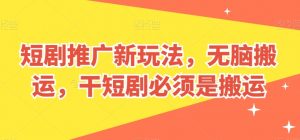 短剧推广新玩法，无脑搬运，干短剧必须是搬运【揭秘】-最全资源库