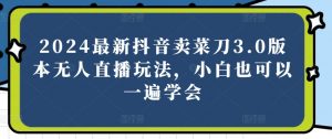 2024最新抖音卖菜刀3.0版本无人直播玩法，小白也可以一遍学会【揭秘】-最全资源库