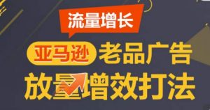 亚马逊流量增长-老品广告放量增效打法,循序渐进,打造更多TOP listing-最全资源库