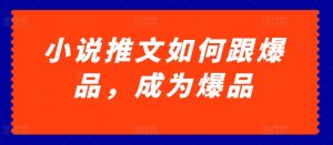 小说推文如何跟爆品，成为爆品【揭秘】-最全资源库