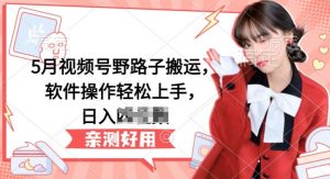 5月视频号野路子搬运，软件操作轻松上手，日入三位数【揭秘】-最全资源库