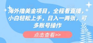 海外撸美金项目,全程看直播,小白轻松上手,日入一两张,可多账号操作【揭秘】-最全资源库