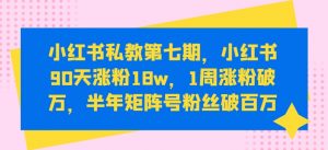 小红书私教第七期，小红书90天涨粉18w，1周涨粉破万，半年矩阵号粉丝破百万-最全资源库
