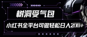 小红书等全平台树洞受气包项目，轻松日入一两张【揭秘】-最全资源库