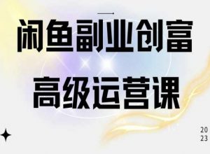 闲鱼电商运营高级课程，一部手机学会闲鱼开店赚钱-最全资源库
