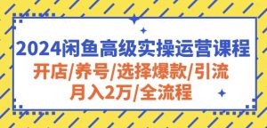 2024闲鱼高级实操运营课程：开店/养号/选择爆款/引流/月入2万/全流程-最全资源库