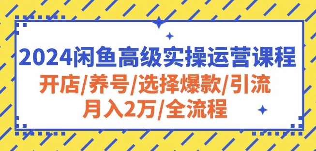 2024闲鱼高级实操运营课程：开店/养号/选择爆款/引流/月入2万/全流程-最全资源库