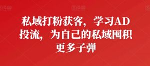私域打粉获客，学习AD投流，为自己的私域囤积更多子弹-最全资源库