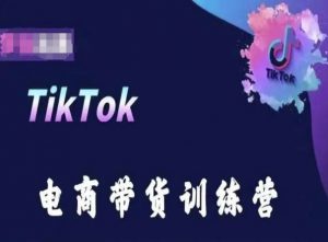 TikTok电商带货训练营，跟随时代潮流，跨境掘金-最全资源库