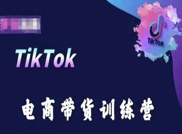 TikTok电商带货训练营，跟随时代潮流，跨境掘金-最全资源库