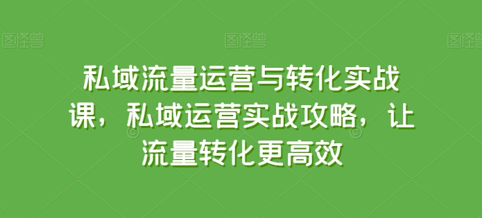 私域流量运营与转化实战课，私域运营实战攻略，让流量转化更高效-最全资源库