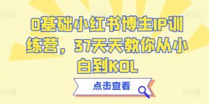 0基础小红书博主IP训练营，37天天教你从小白到KOL-最全资源库